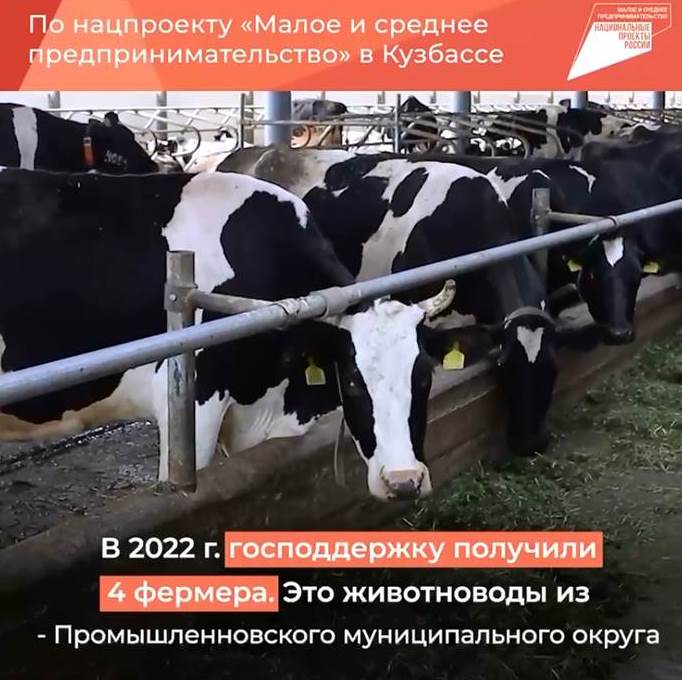 Грантовая поддержка кузбасских фермеров